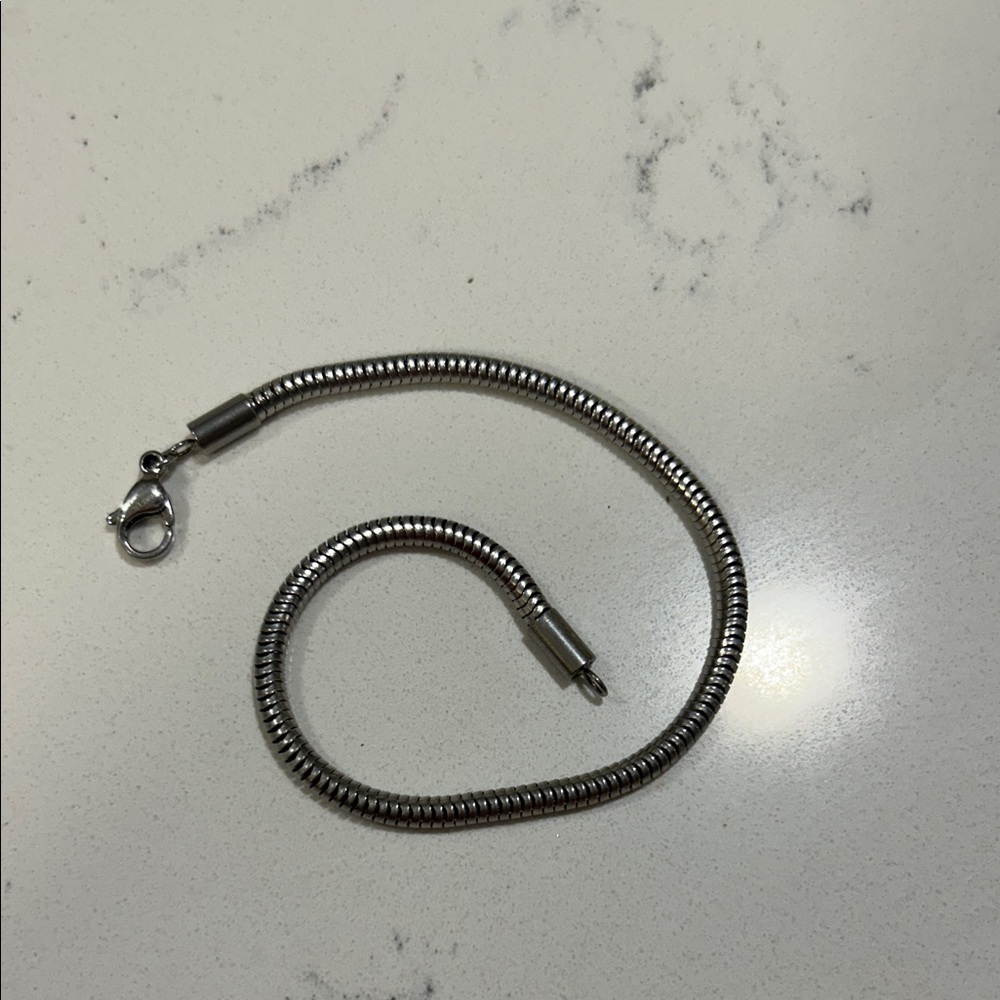 Silver Snake Chain Bracelet